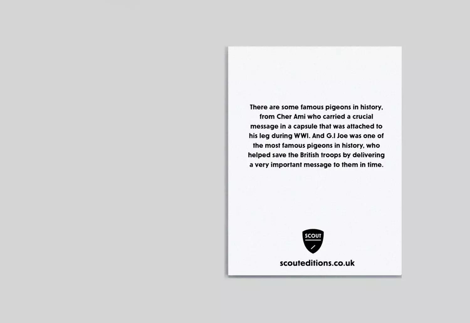 Scout Editions Pigeon Mini Card 4 Scout Editions Pigeon Mini Card - Image 2