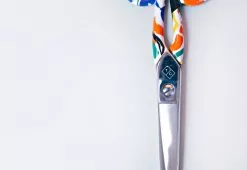 The Completist Orchard Paper Scissors 13 The Completist Orchard Paper Scissors -TwentyTwentyOne Shop twentytwentyone the completist orhcards scissors 3