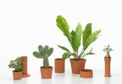 Vitra Terracotta Pots, 2023