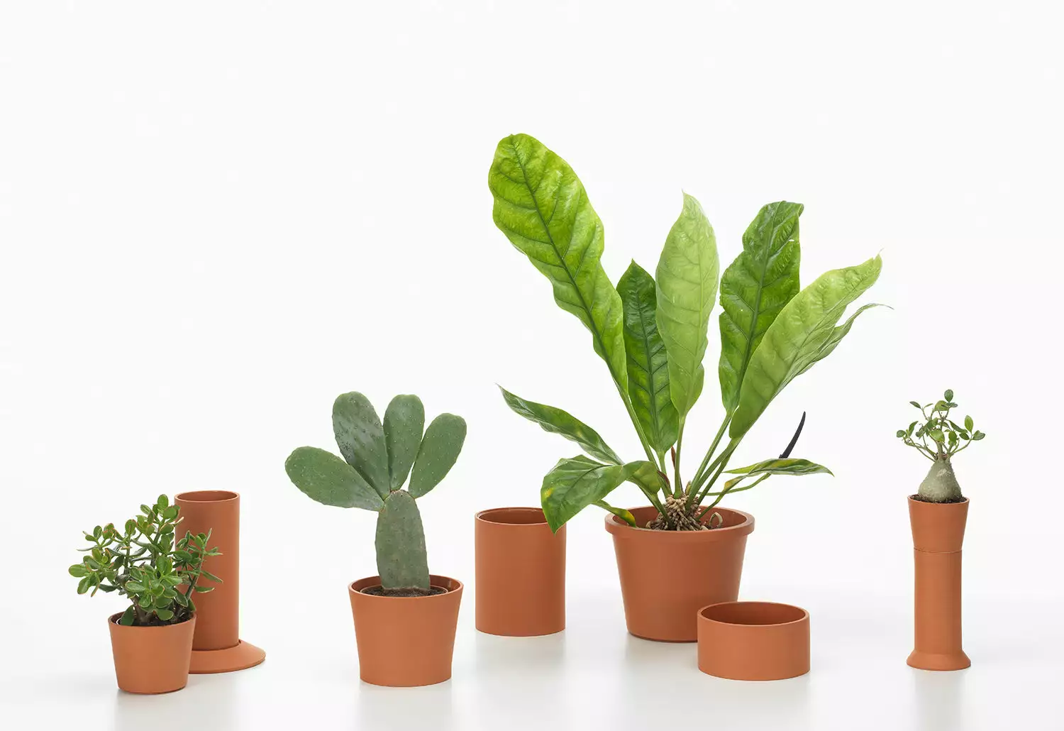 Vitra Terracotta Pots, 2023 3 Vitra Terracotta Pots, 2023