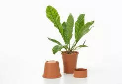 Vitra Terracotta Pots, 2023 36 Vitra Terracotta Pots, 2023 -TwentyTwentyOne Shop vitra thelonious goupil terracotta pots 6