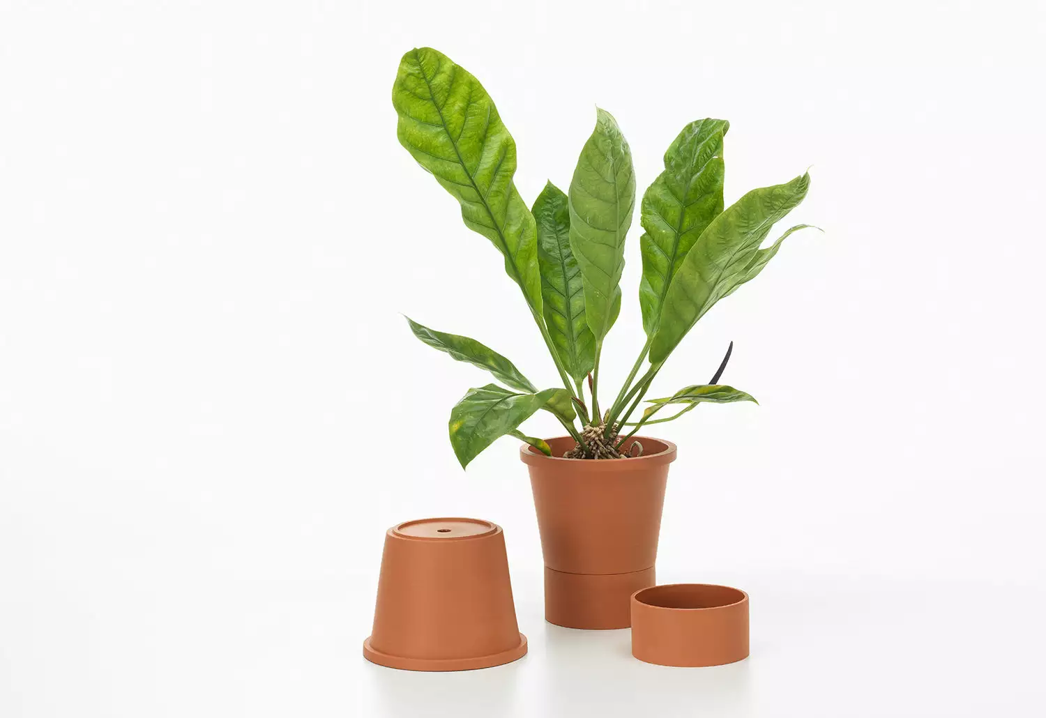 Vitra Terracotta Pots, 2023 16 Vitra Terracotta Pots, 2023 - Image 14