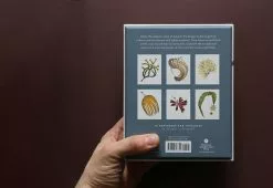 Alternative view of Superfolk Wild Sea Notecards, 2015
